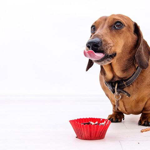 Illustratie bij: Duur geintje: ‘Daar ging ze, naar de bakker, helemaal alleen’