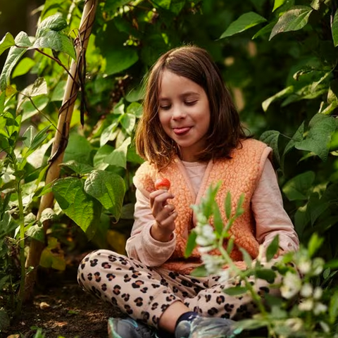 Illustratie bij: Pak nu dikke korting op een heerlijke gezinsvakantie bij Center Parcs!