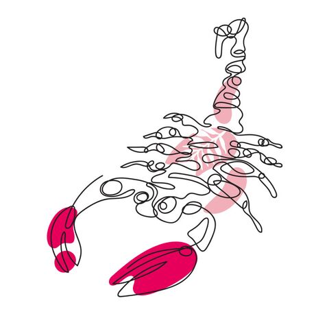 Illustratie bij: Schorpioen, laat contacten niet verwateren deze zomer
