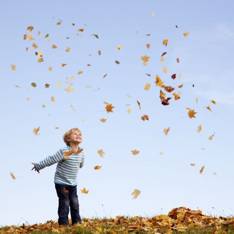 Illustratie bij: Nooit meer vervelen: 28 herfstactiviteiten met je kleine(n)