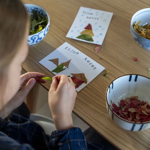 Illustratie bij: Zelf kerstkaarten maken met gedroogde bladeren