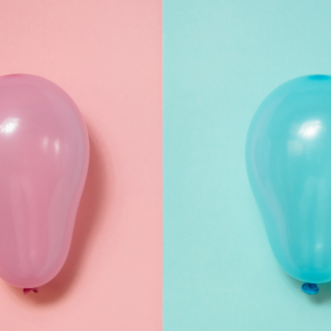 Illustratie bij: Niet volgens het boekje: ‘Ik gaf een anti-gender reveal party’