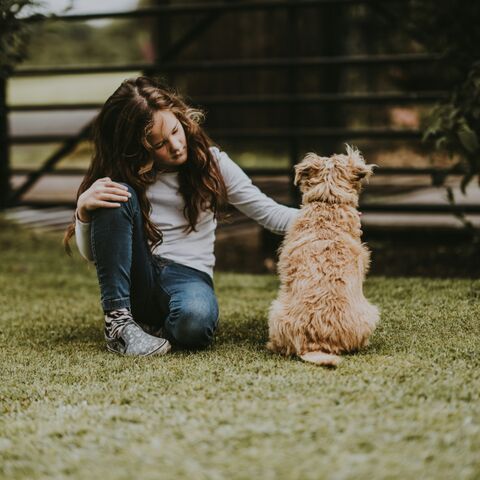 Illustratie bij: Het succes van Bucky de schoolhond: ‘Hij maakt hoofdjes leeg’