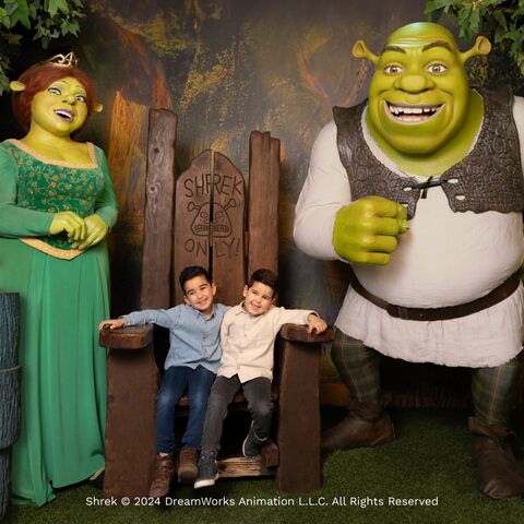 Illustratie bij: Op de foto met een levensechte Shrek? Vanaf nu kan het gewoon in Nederland