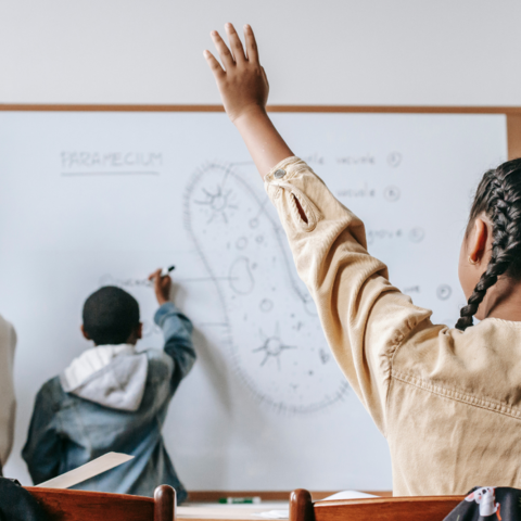 Illustratie bij: Kinderen met deze sterrenbeelden doen het goed op school