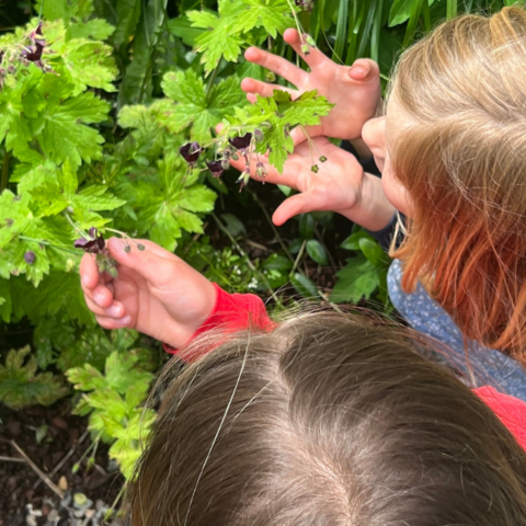 Illustratie bij: Zo tover je de tuin om tot biologisch speelparadijs voor de kids