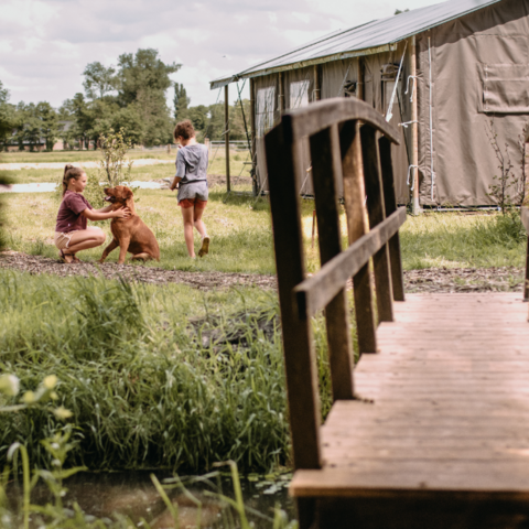 Illustratie bij: Toe aan rust? Win NU een weekend weg op een boerderij middenin de natuur