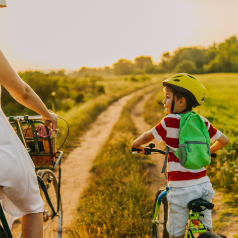 Illustratie bij: Fietsen met de kids: De leukste routes voor een dag vol avontuur