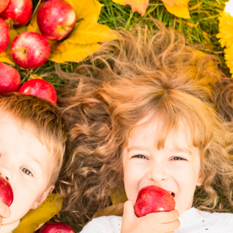 Illustratie bij: Deze TikTok-bestemmingen maken de herfstvakantie van je kids onvergetelijk