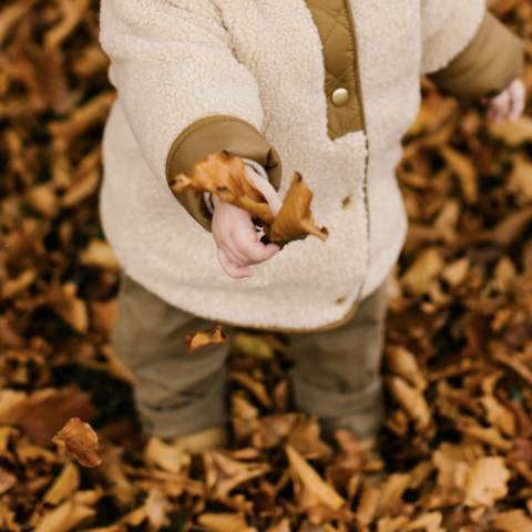 Illustratie bij: 8 redenen om je kinderen over te halen tot een frisse herfstwandeling