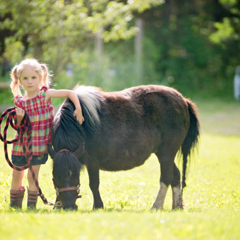 Illustratie bij: 10 dingen die moeders van paardenmeisjes herkennen