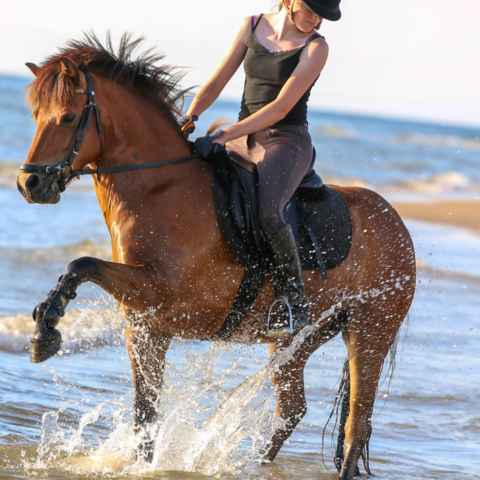 meisje met paard in zee