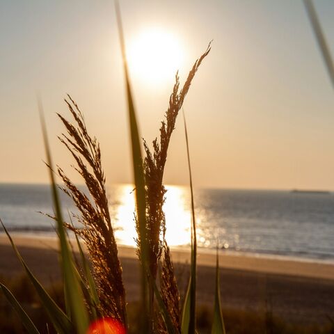 Illustratie bij: Weekendje Cadzand met het gezin? Dit zijn de beste tips