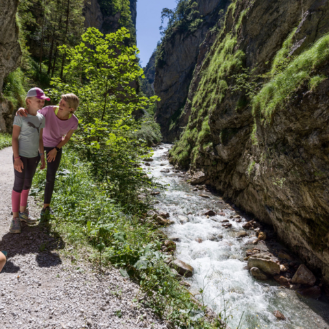 Illustratie bij: Verstopt in de Alpen: waarom Wildschönau dé familiebestemming voor 2025 is