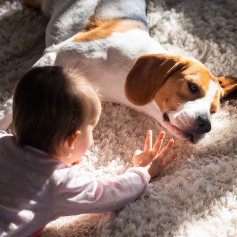 Kinderen sterrenbeelden dierenvrienden