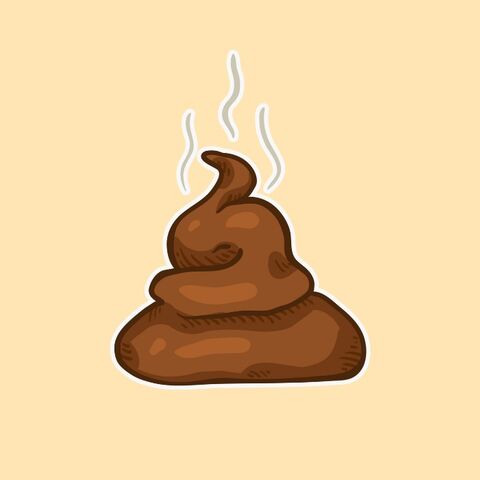 Illustratie bij: Opgebiecht: ‘In het holst van de nacht smeerde ik hun huis vol met hondenpoep’