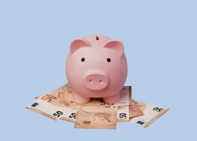 jelies gnodde spaarpot