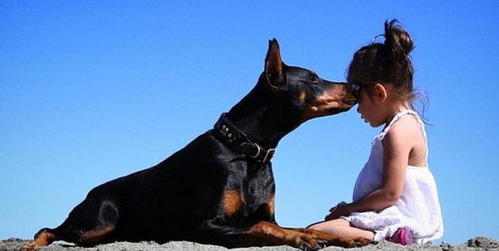 Illustratie bij: Lief: meisje en hond zijn beste vrienden