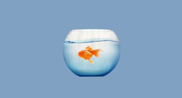 aquarium