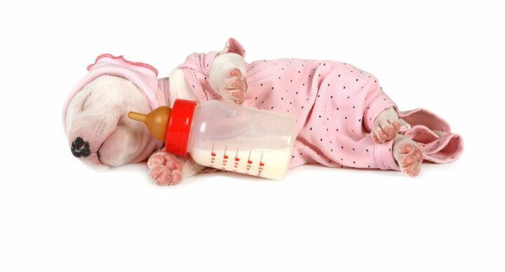 baby slopend voor huwelijk