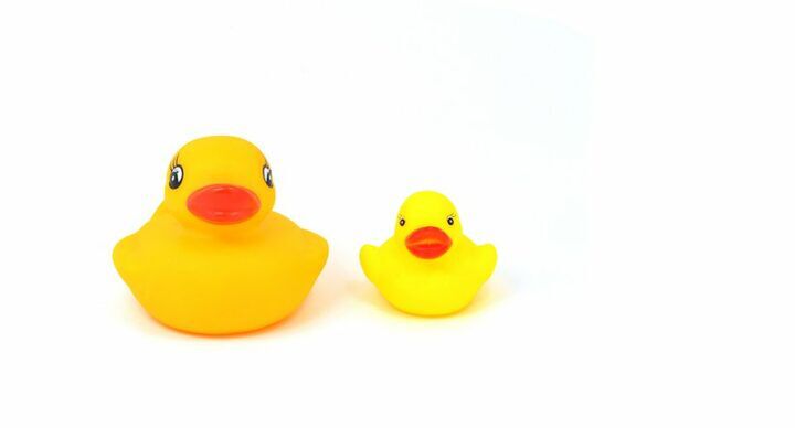 Beeld: Shutterstock