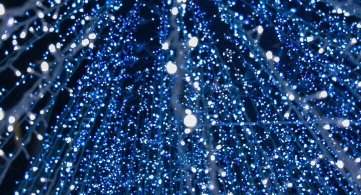 lichtjes aan gezinsuitjes december 2020 kerstvakantie
