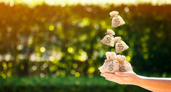 Beeld: Shutterstock