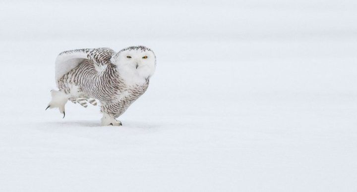 schaatsen uitjes kidsproof 2021