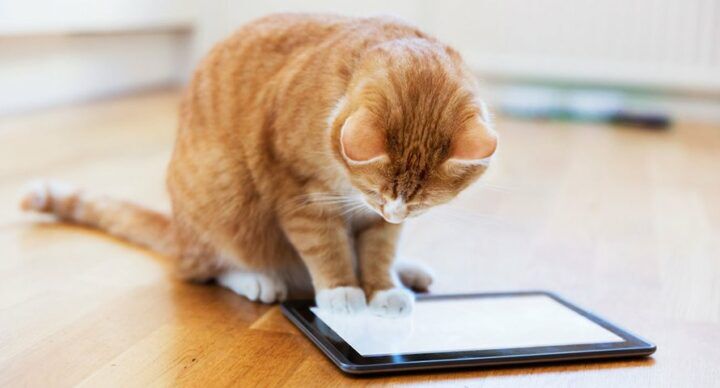 zoon alle tijd op iPad