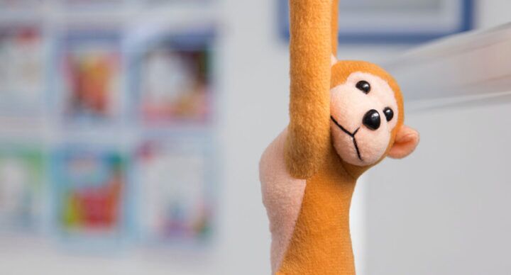 knuffel kwijt vakantieblunder