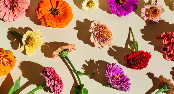 Moederdag cadeaus bloemen
