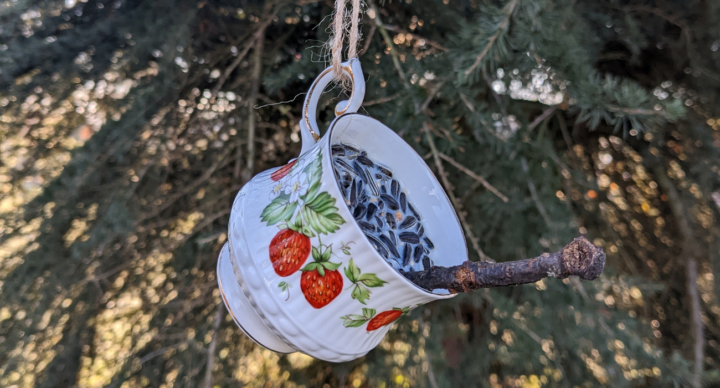 Illustratie bij: Leuk knutselwerk: help vogels de winter door met vetbollen
