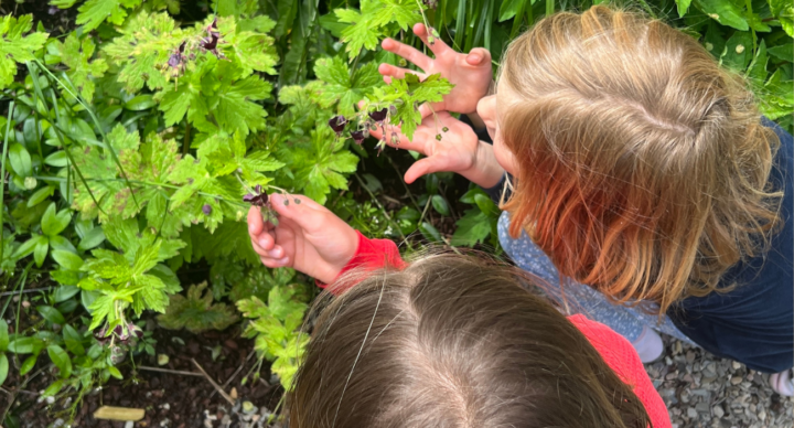 Illustratie bij: Zo tover je de tuin om tot biologisch speelparadijs voor de kids