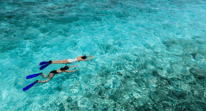 vakantie zee snorkelen