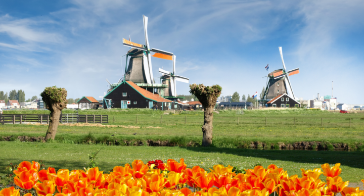 Illustratie bij: Deze 11 uitjes zijn extra leuk om met opa en oma naartoe te gaan