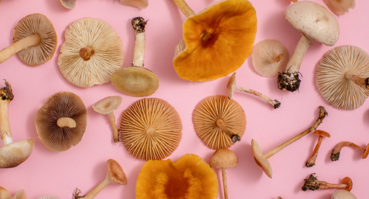 Illustratie bij: Mama doet aan microdosing: ‘De eerste week merk ik niets, maar na een maand of twee lijk ik meer focus te hebben’