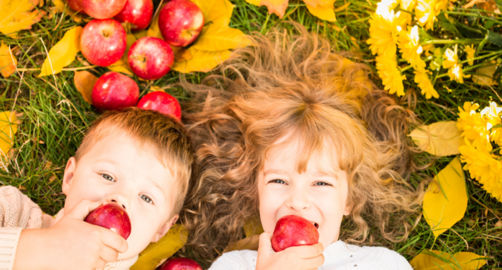Illustratie bij: Deze TikTok-bestemmingen maken de herfstvakantie van je kids onvergetelijk