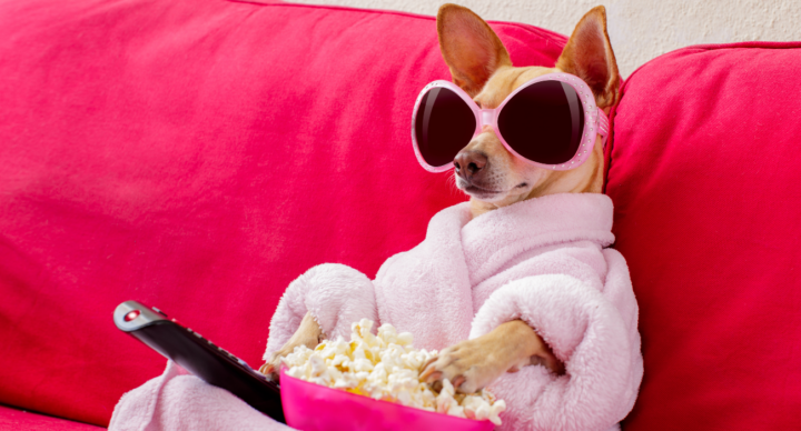 Illustratie bij: 10 series op Netflix met een moeder in de hoofdrol