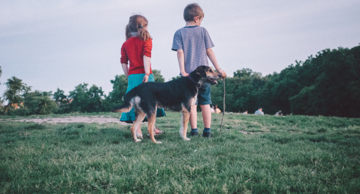 Illustratie bij: Minder kinderen, meer honden: worden kids vervangen door ‘fur babies’?