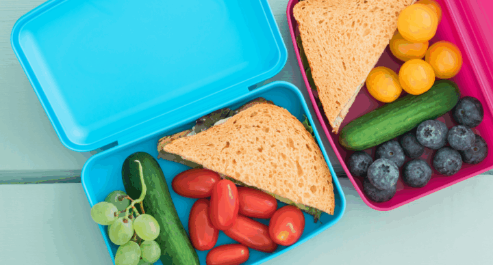 broodtrommel lunch brood