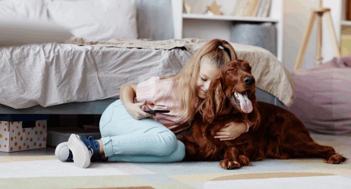 hond