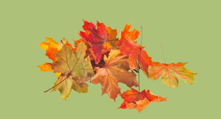 herfst