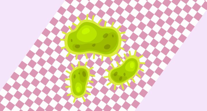 bacteriën