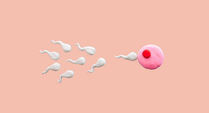 Illustratie bij: Ook mannen hebben een biologische klok: ‘Hoe ouder, hoe groter het risico op afwijkingen’