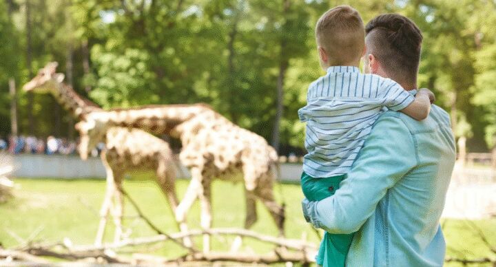 Dierenpark Blanckendaell