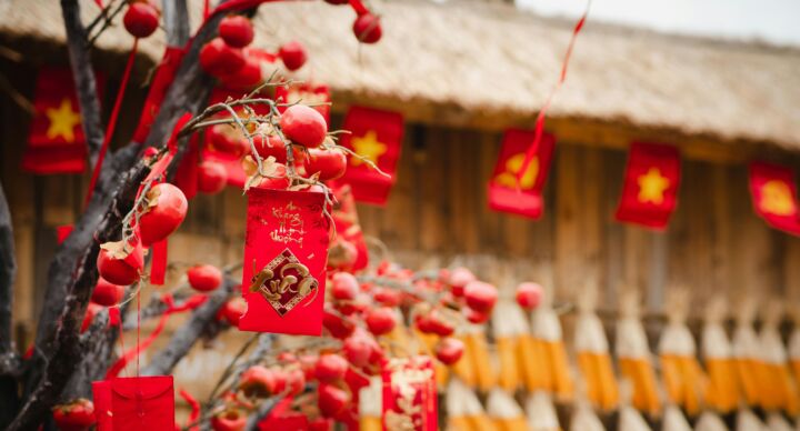 Chinees nieuwjaar vuurpaard