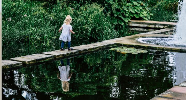 Illustratie bij: Zo geef je je tuin een nieuwe look dit seizoen