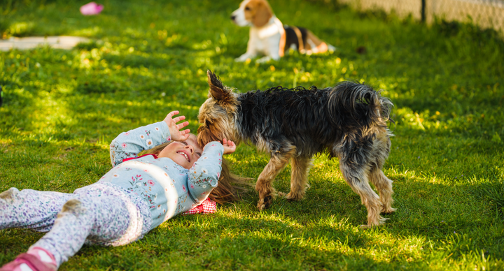 Illustratie bij: Waarom opgroeien met een hond zo waardevol kan zijn: ‘Ze vertelt de hond dingen die ze ons niet vertelt’