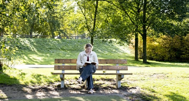 corine balkenende docent columnist
