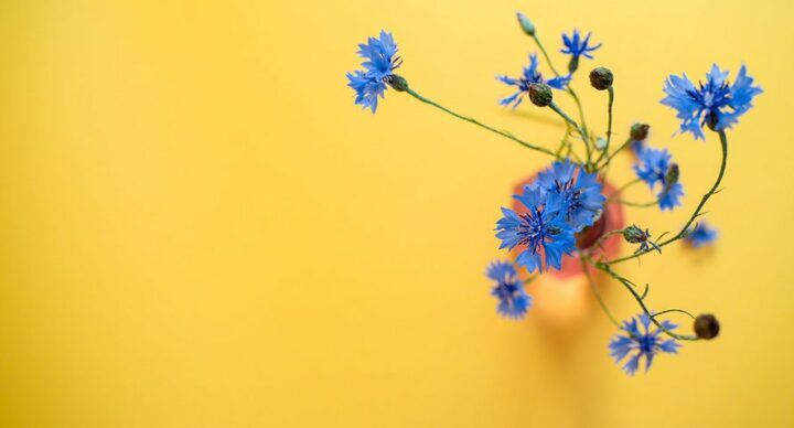 bloemenvazen woonkamer op te fleuren